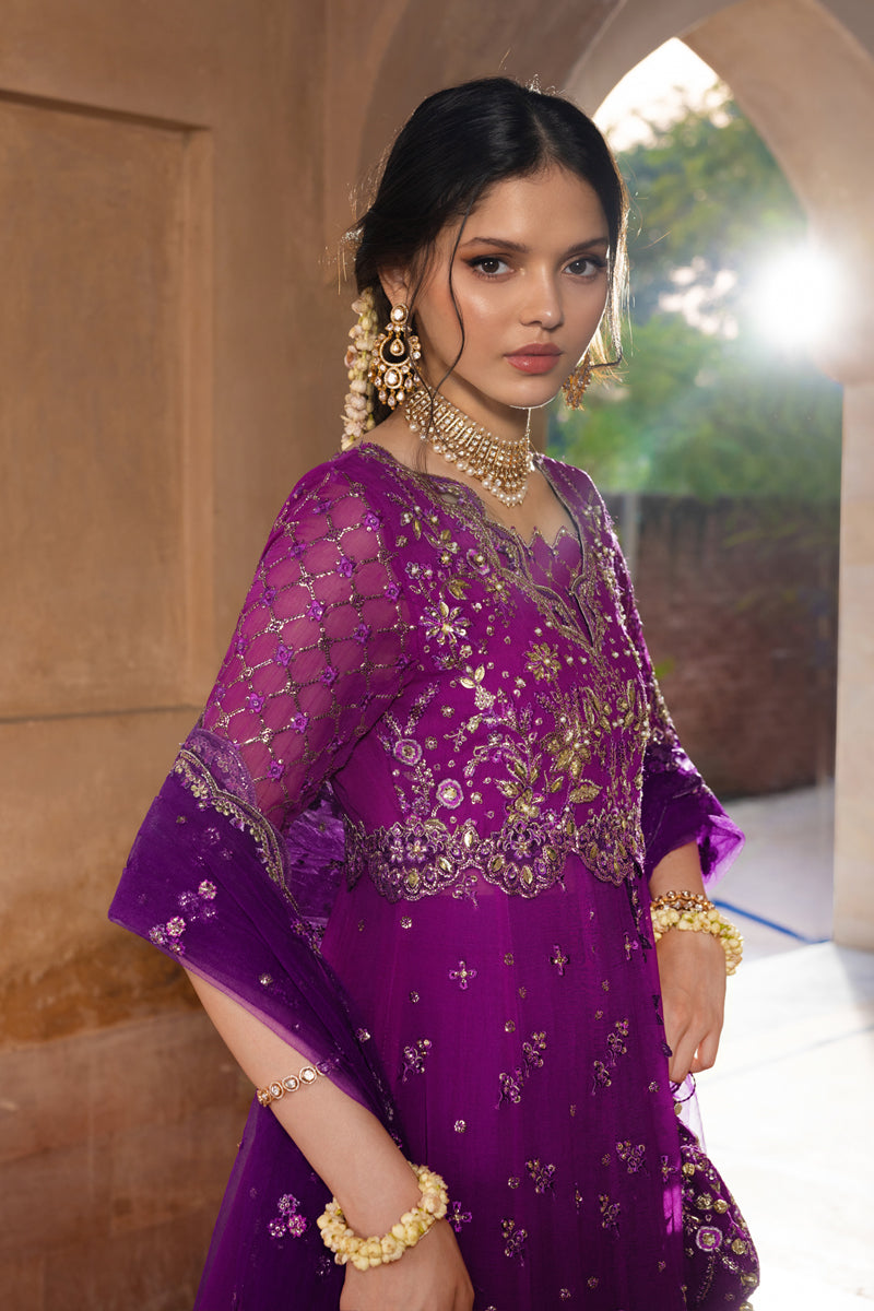 Rang Rasiya Embroidered Chiffon Unstitched 3Pc Suit D-03 AALIYAH