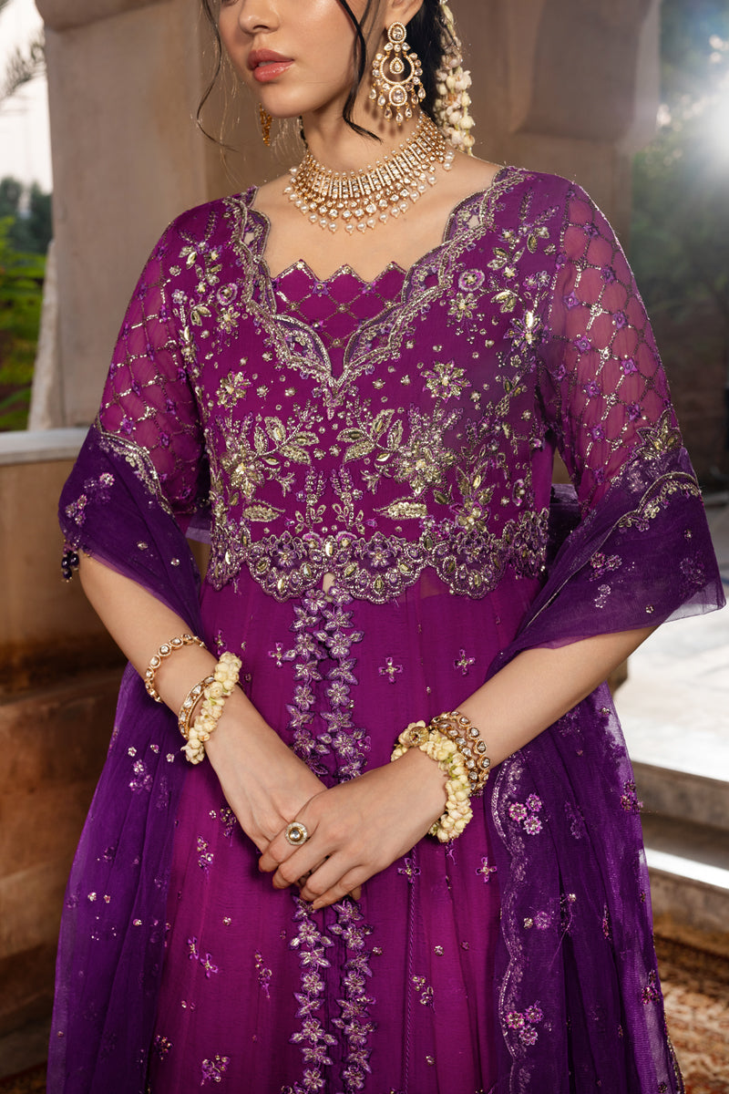 Rang Rasiya Embroidered Chiffon Unstitched 3Pc Suit D-03 AALIYAH