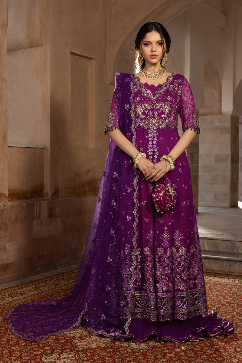 Rang Rasiya Embroidered Chiffon Unstitched 3Pc Suit D-03 AALIYAH