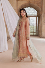 Rang Rasiya Chatoyer Embroidered Zari Tissue Unstitched 3Pc Suit - Fleur