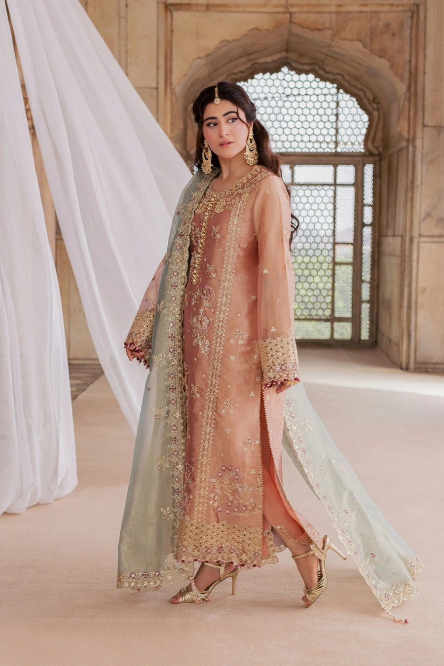 Rang Rasiya Chatoyer Embroidered Zari Tissue Unstitched 3Pc Suit - Fleur