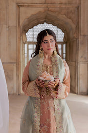 Rang Rasiya Chatoyer Embroidered Zari Tissue Unstitched 3Pc Suit - Fleur