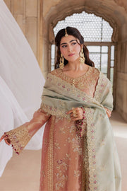Rang Rasiya Chatoyer Embroidered Zari Tissue Unstitched 3Pc Suit - Fleur
