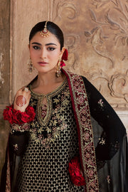 Rang Rasiya Chatoyer Embroidered Chiffon Unstitched 3Pc Suit - Noir