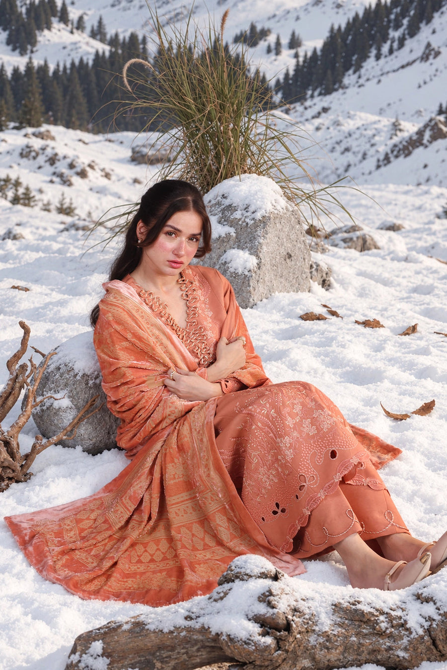 Rang Rasiya Carnation Embroidered Karandi Unstitched 3Pc Suit D-02 Solene