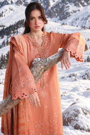 Rang Rasiya Carnation Embroidered Karandi Unstitched 3Pc Suit D-02 Solene