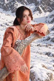 Rang Rasiya Carnation Embroidered Karandi Unstitched 3Pc Suit D-02 Solene