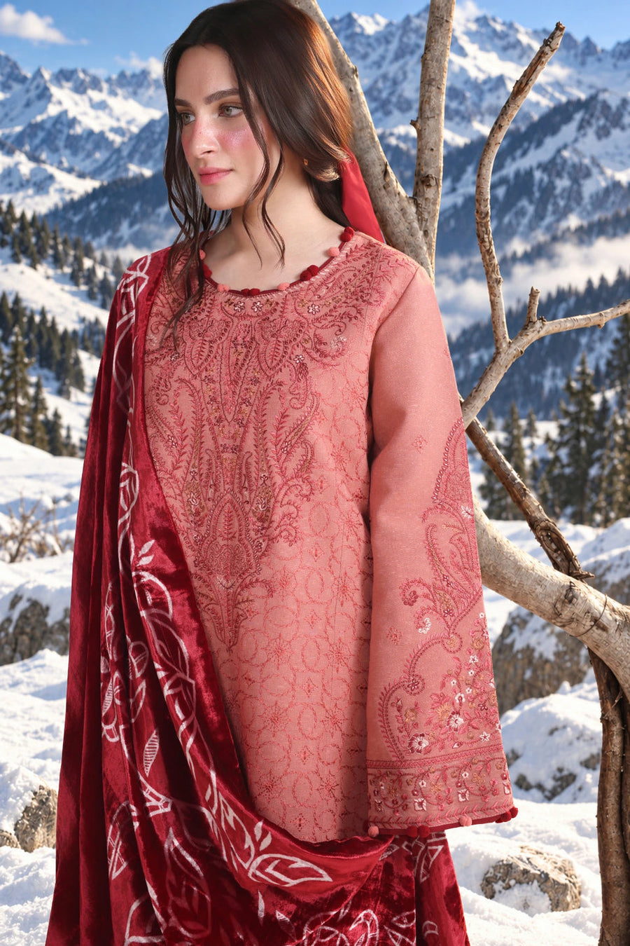 Rang Rasiya Carnation Embroidered Karandi Unstitched 3Pc Suit D-09 Rosea