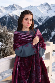 Rang Rasiya Carnation Embroidered Karandi Unstitched 3Pc Suit D-10 Twilight