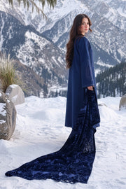 Rang Rasiya Carnation Embroidered Karandi Unstitched 3Pc Suit D-12 Nox
