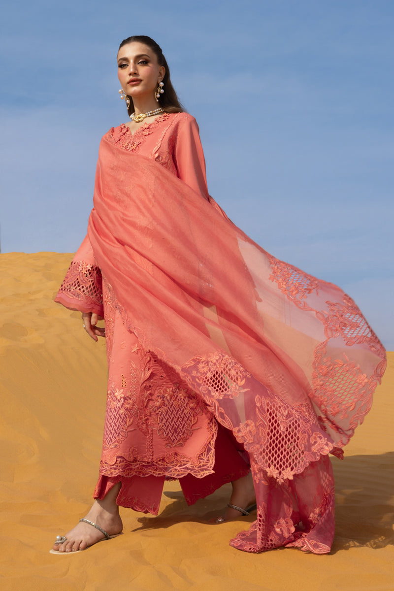 Rang Rasiya Premium Embroidered Lawn Unstitched 3Pc Suit D-01 ELNAZ