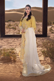 Rang Rasiya Premium Embroidered Lawn Unstitched 3Pc Suit D-06 HOORAIN