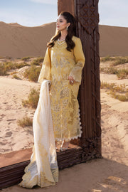 Rang Rasiya Premium Embroidered Lawn Unstitched 3Pc Suit D-06 HOORAIN