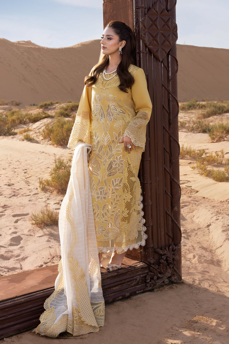 Rang Rasiya Premium Embroidered Lawn Unstitched 3Pc Suit D-06 HOORAIN