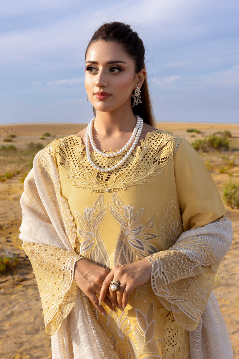 Rang Rasiya Premium Embroidered Lawn Unstitched 3Pc Suit D-06 HOORAIN