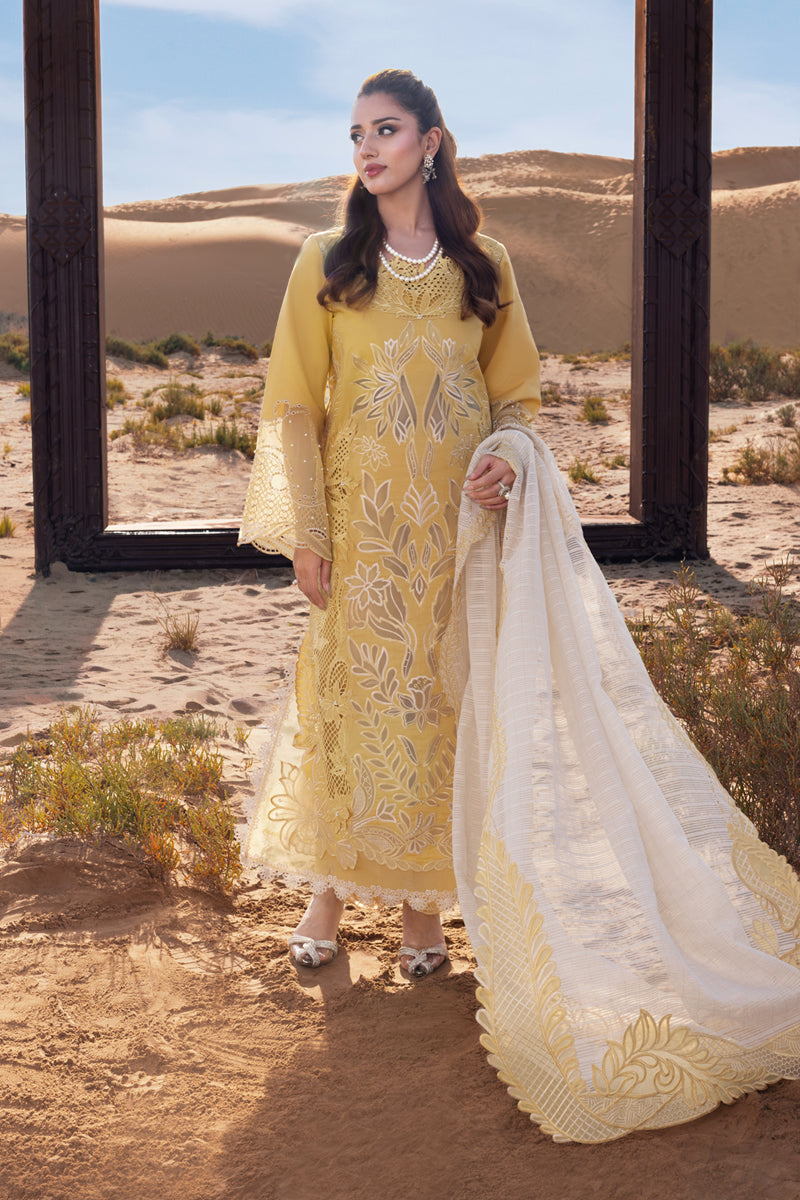 Rang Rasiya Premium Embroidered Lawn Unstitched 3Pc Suit D-06 HOORAIN