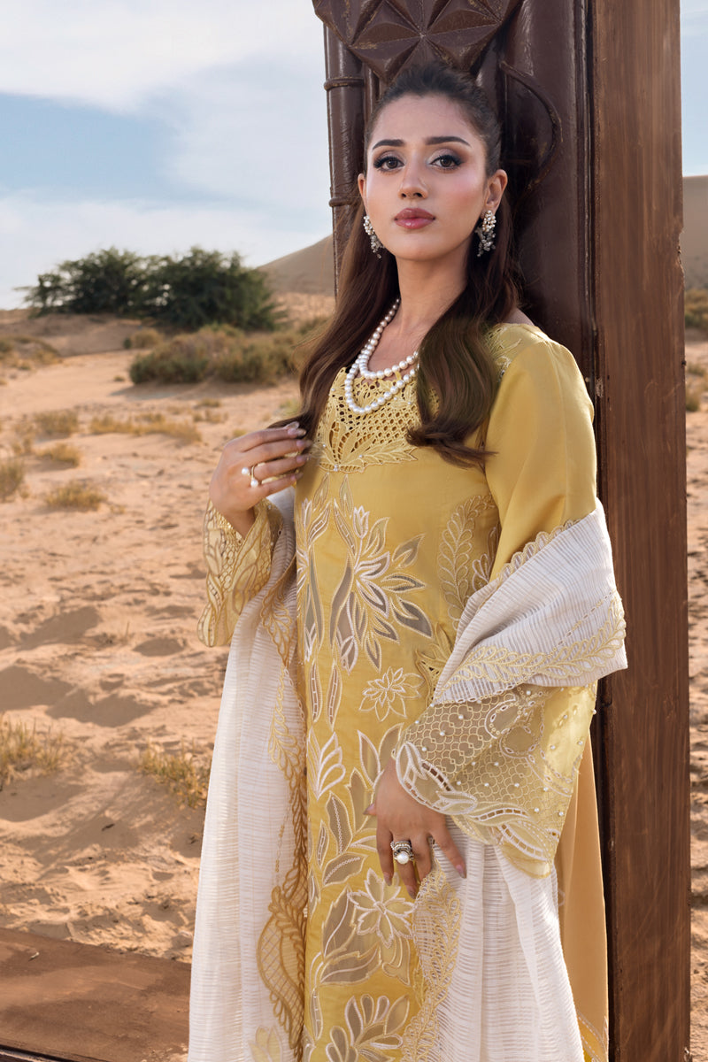 Rang Rasiya Premium Embroidered Lawn Unstitched 3Pc Suit D-06 HOORAIN