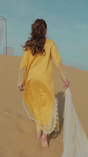 Rang Rasiya Premium Embroidered Lawn Unstitched 3Pc Suit D-06 HOORAIN