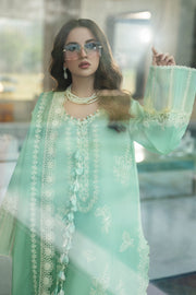 Rang Rasiya Carnation Embroidered Lawn Unstitched 3Pc Suit D-02 HIBA
