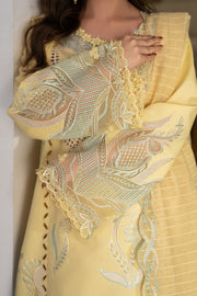 Rang Rasiya Carnation Embroidered Lawn Unstitched 3Pc Suit D-06 NADIA