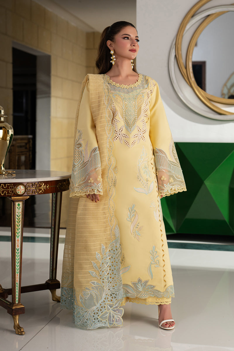 Rang Rasiya Carnation Embroidered Lawn Unstitched 3Pc Suit D-06 NADIA