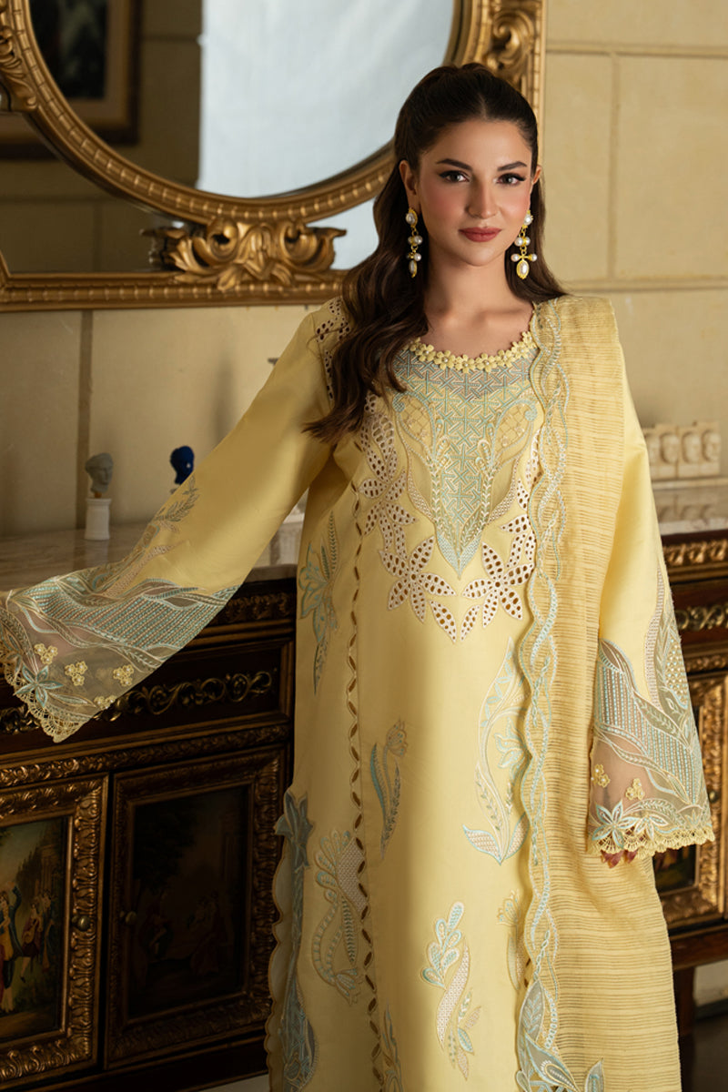 Rang Rasiya Carnation Embroidered Lawn Unstitched 3Pc Suit D-06 NADIA