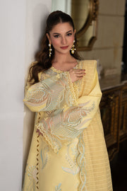 Rang Rasiya Carnation Embroidered Lawn Unstitched 3Pc Suit D-06 NADIA
