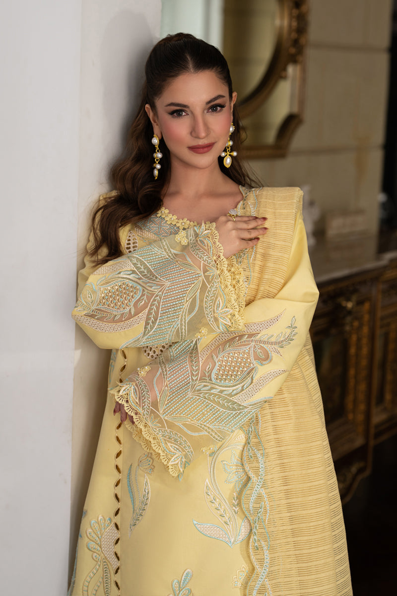Rang Rasiya Carnation Embroidered Lawn Unstitched 3Pc Suit D-06 NADIA