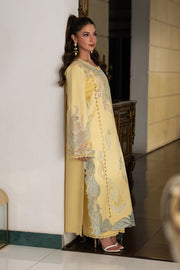Rang Rasiya Carnation Embroidered Lawn Unstitched 3Pc Suit D-06 NADIA