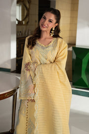 Rang Rasiya Carnation Embroidered Lawn Unstitched 3Pc Suit D-06 NADIA