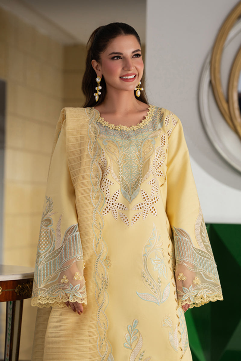 Rang Rasiya Carnation Embroidered Lawn Unstitched 3Pc Suit D-06 NADIA