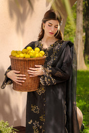 Rang Rasiya Premium Embroidered Lawn Unstitched 3Pc Suit - LAYL