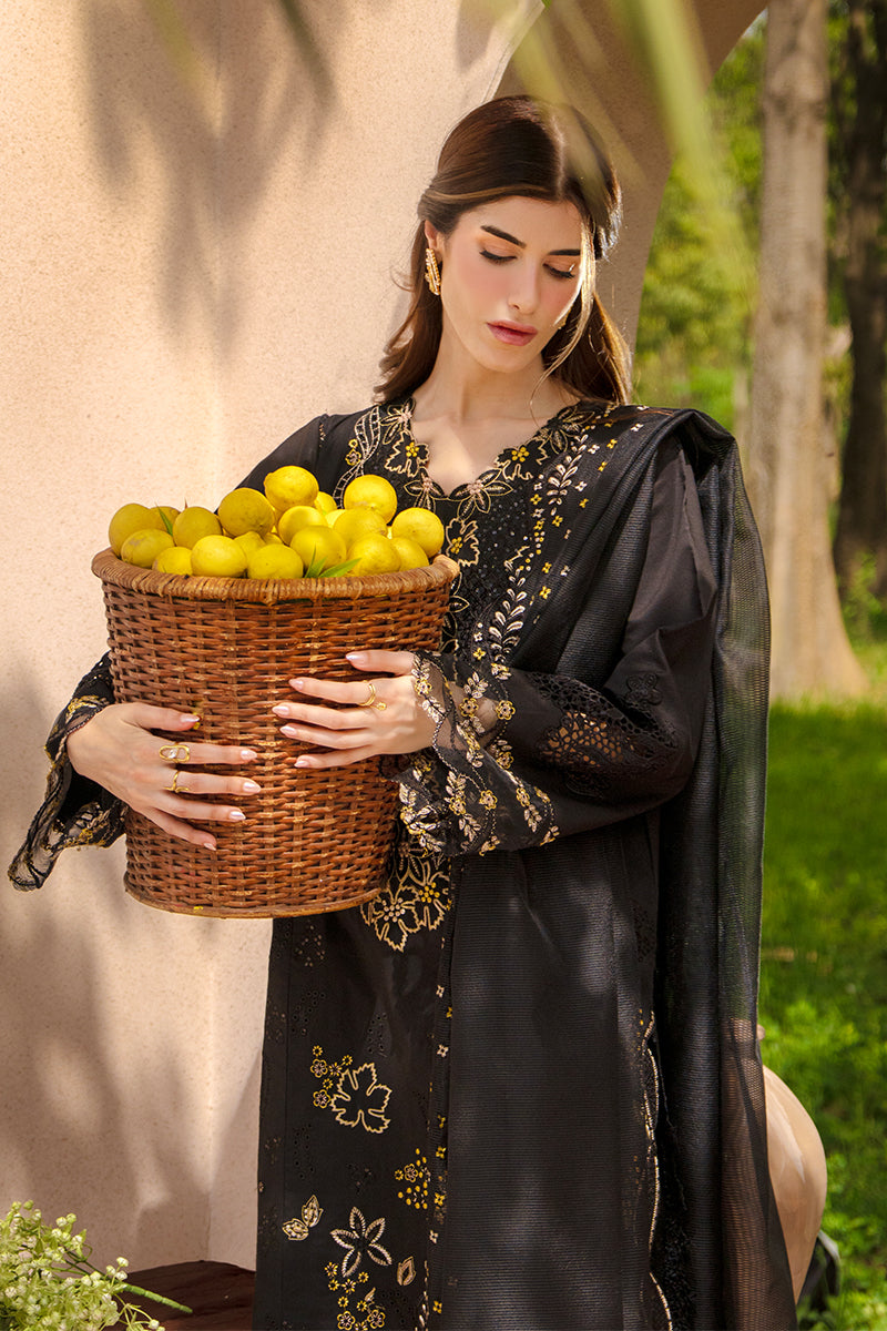 Rang Rasiya Premium Embroidered Lawn Unstitched 3Pc Suit - LAYL