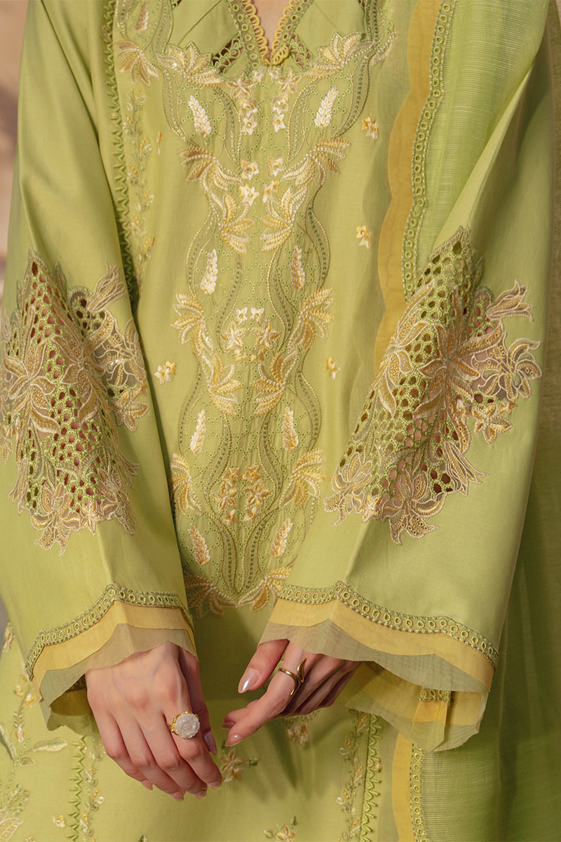 Rang Rasiya Premium Embroidered Lawn Unstitched 3Pc Suit - NADINE