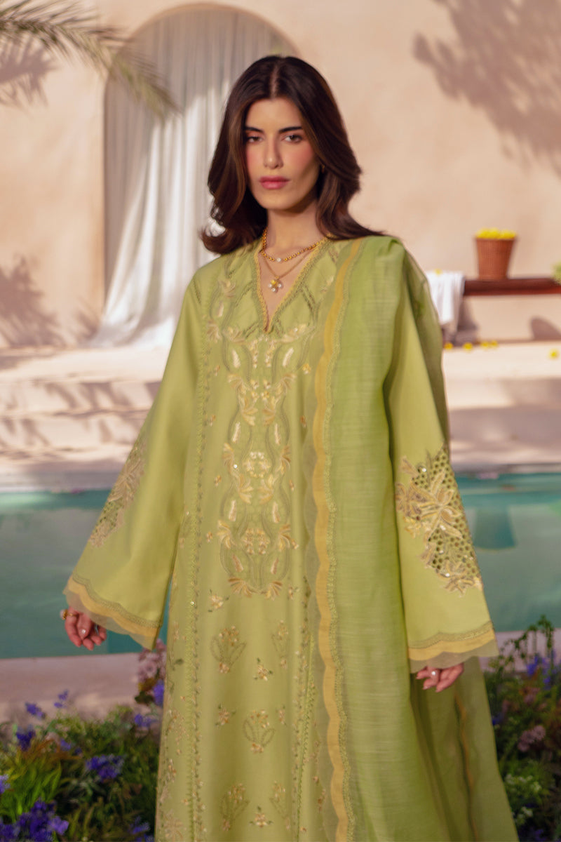 Rang Rasiya Premium Embroidered Lawn Unstitched 3Pc Suit - NADINE