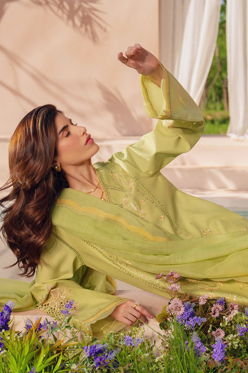 Rang Rasiya Premium Embroidered Lawn Unstitched 3Pc Suit - NADINE