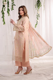 Rang Rasiya Nova Embroidered Lawn Unstitched 3Pc Suit - Gabriella