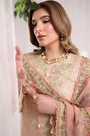 Rang Rasiya Nova Embroidered Lawn Unstitched 3Pc Suit - Gabriella