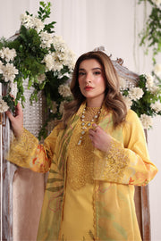 Rang Rasiya Nova Embroidered Lawn Unstitched 3Pc Suit - Aurora