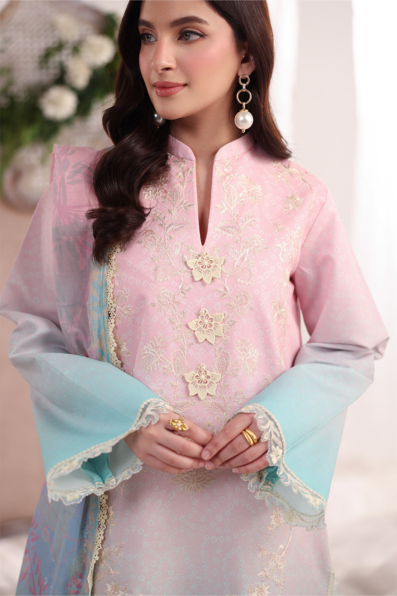 Rang Rasiya Nova Embroidered Lawn Unstitched 3Pc Suit - Serene
