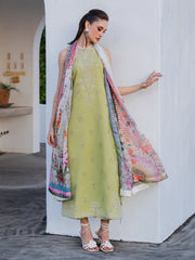 Dareen by IZEL Embroidered Luxury Lawn Unstitched 3Pc Suit - Ruhaab