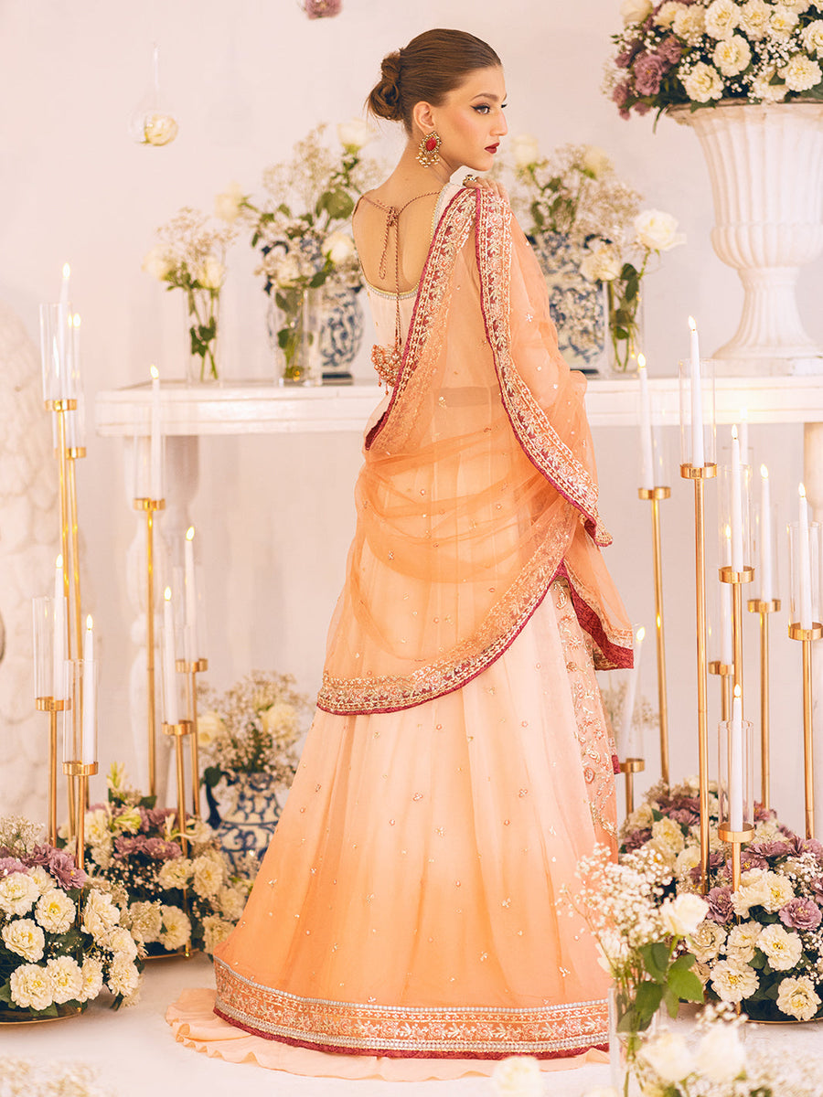 Sawariya by Roheenaz Luxury Chiffon Unstitched 3Pc Suit RUNCH230101