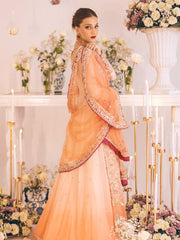 Sawariya by Roheenaz Luxury Chiffon Unstitched 3Pc Suit RUNCH230101