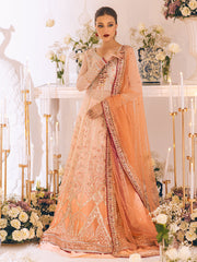 Sawariya by Roheenaz Luxury Chiffon Unstitched 3Pc Suit RUNCH230101