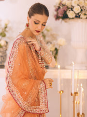 Sawariya by Roheenaz Luxury Chiffon Unstitched 3Pc Suit RUNCH230101