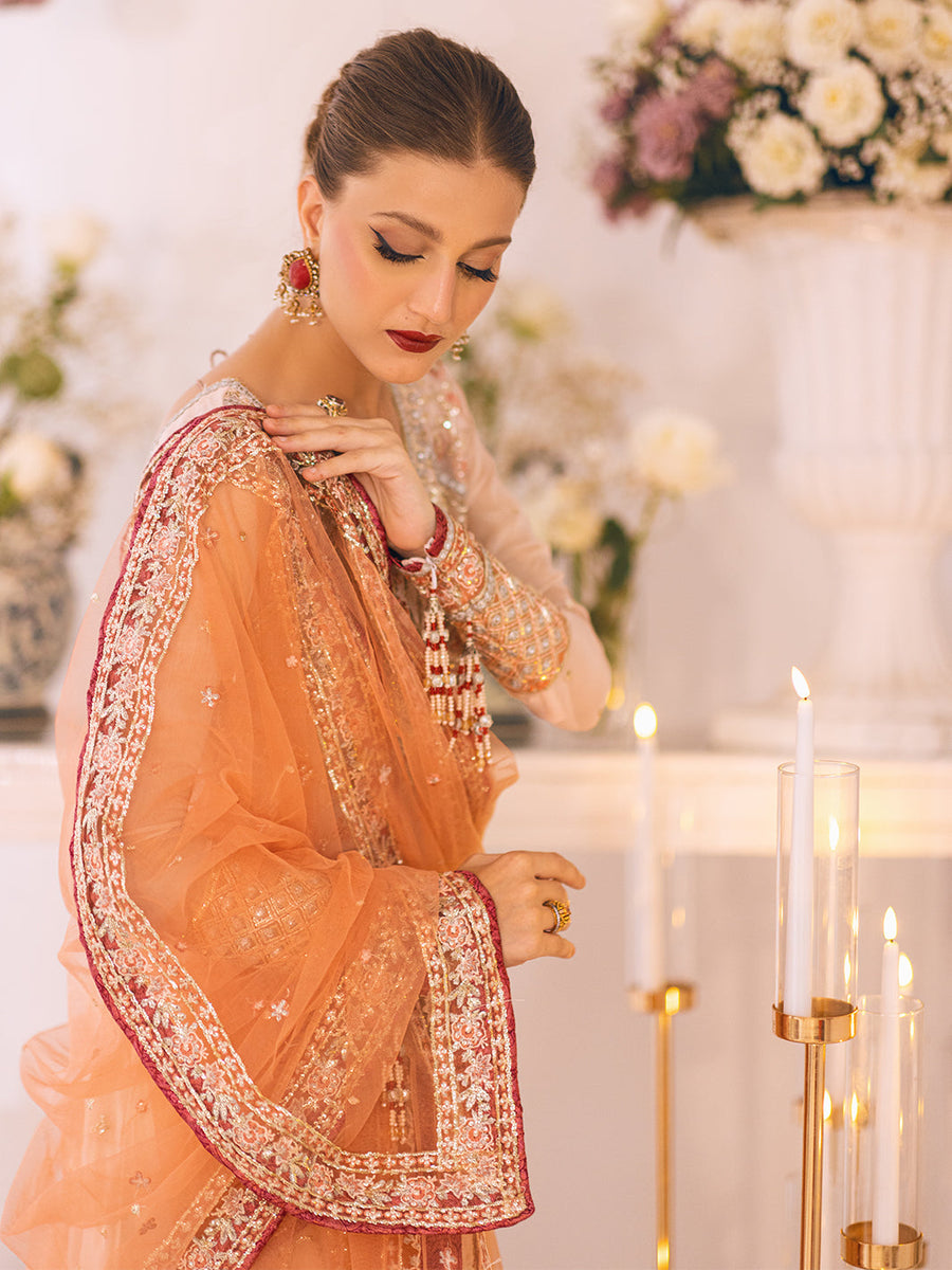 Sawariya by Roheenaz Luxury Chiffon Unstitched 3Pc Suit RUNCH230101