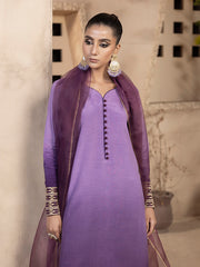 Hemstitch Embroidered Raw Silk Ready to Wear 3Pc Suit - Raania
