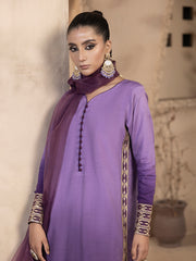 Hemstitch Embroidered Raw Silk Ready to Wear 3Pc Suit - Raania