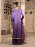 Hemstitch Embroidered Raw Silk Ready to Wear 3Pc Suit - Raania