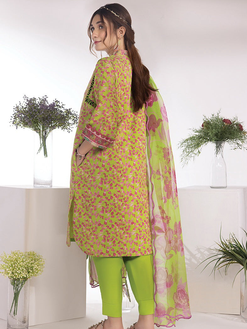Rang Rasiya Summer Breeze Unstitched Lawn Print 3Pc Suit D-11 Kelly